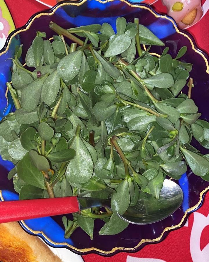 ميليتو دي بورتو سالفو B&B Il Giardino Delle Meraviglie المظهر الخارجي الصورة