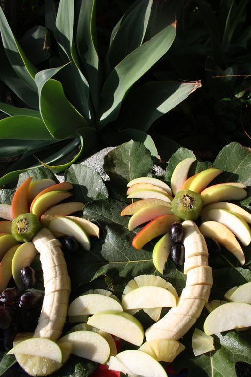 ميليتو دي بورتو سالفو B&B Il Giardino Delle Meraviglie المظهر الخارجي الصورة